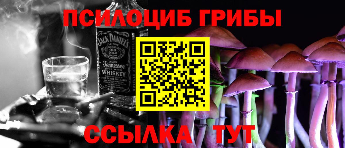 Красноармейск  Галлюциногенные грибы Cubensis  Вход с VPN  Псилоцибиновые грибы Psilocybine cubensis 
